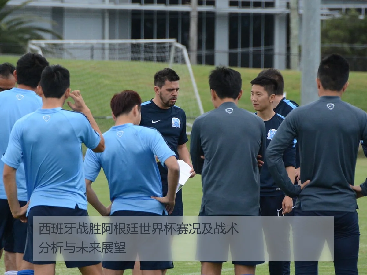 西班牙战胜阿根廷世界杯赛况及战术分析与未来展望